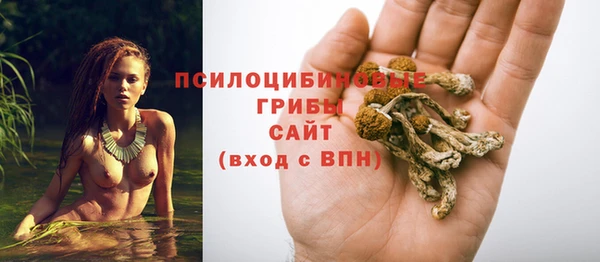 таблы Богданович