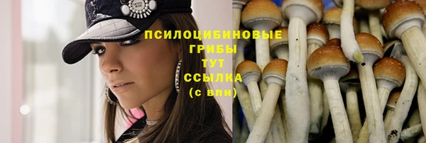 PSILOCYBIN Богородицк